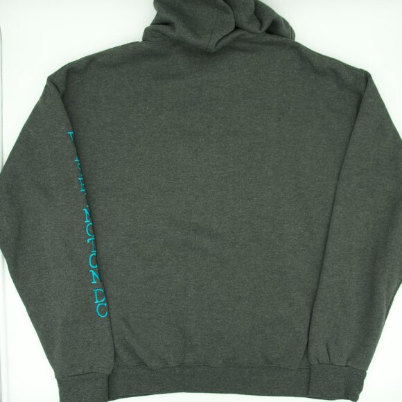 WASHINGTON DC HOODIE - Picture 2 of 5